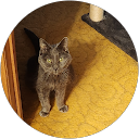 Nate W. profile picture